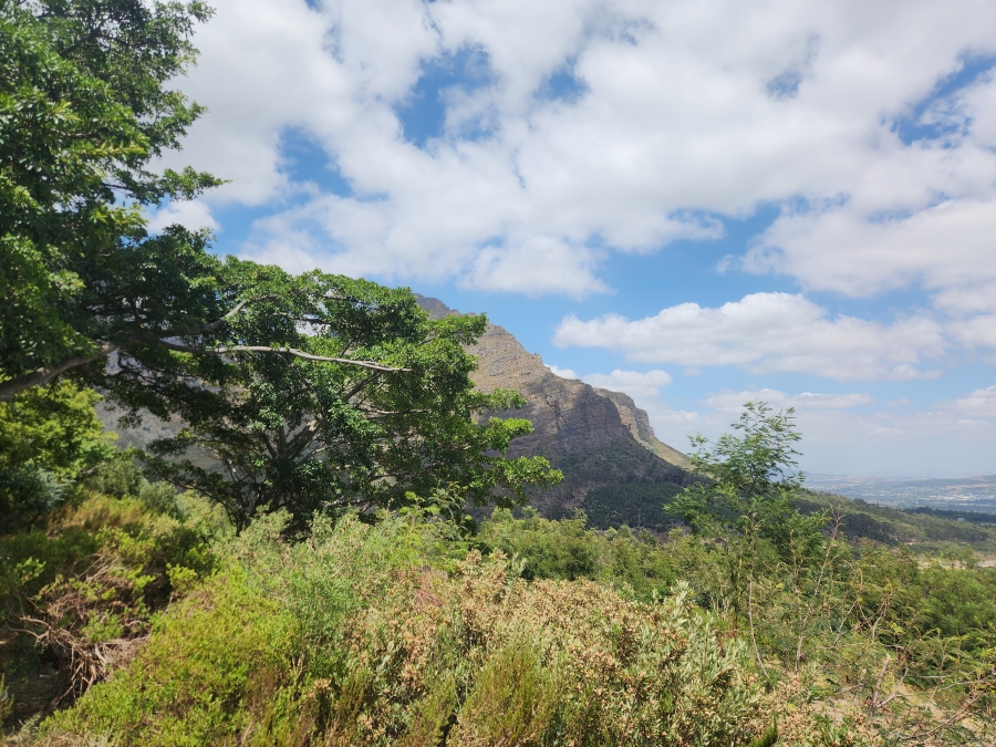 Commercial Property for Sale in Paarl Rural Western Cape